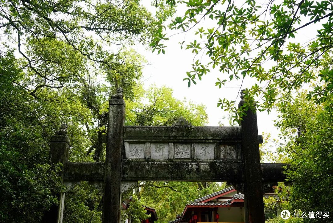 漫步武夷山，喝杯大红袍，过一段隐居生活