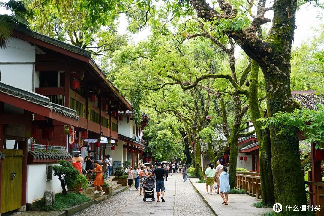 漫步武夷山，喝杯大红袍，过一段隐居生活