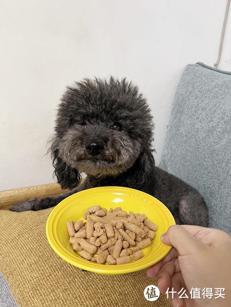 超全狗零食种类测评分析，你要的狗狗零食这里都有