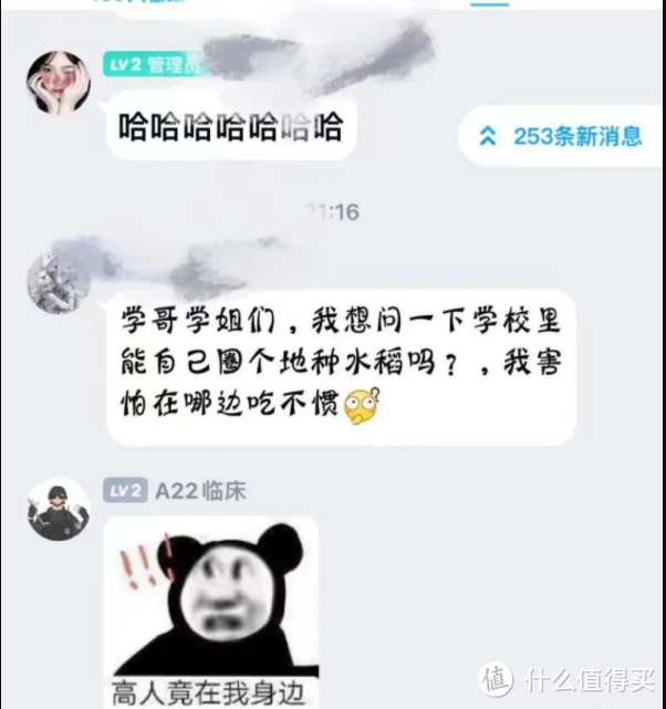 最近爆火的“装腔式生活”，让百万网友又笑又哭