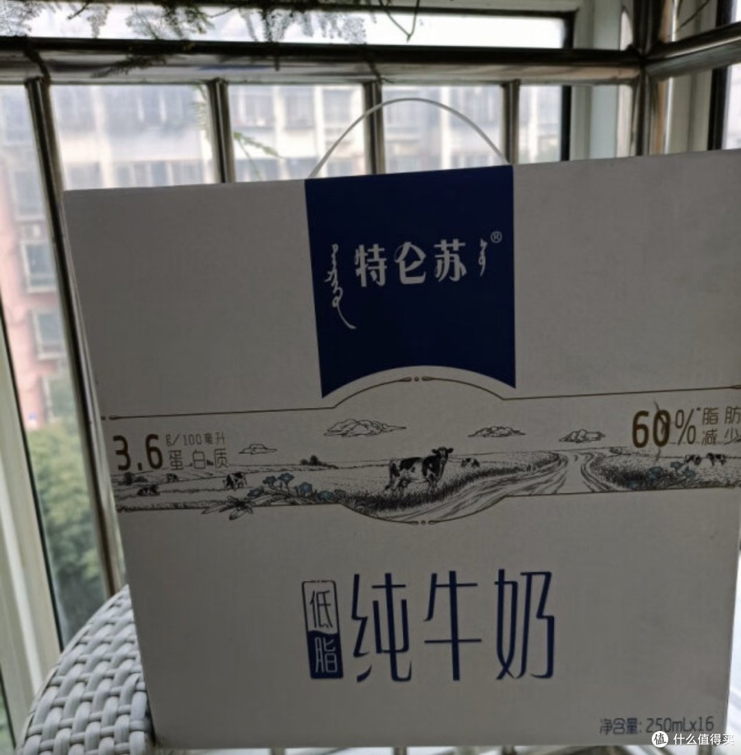 家中必备的特仑苏纯牛奶,很好喝