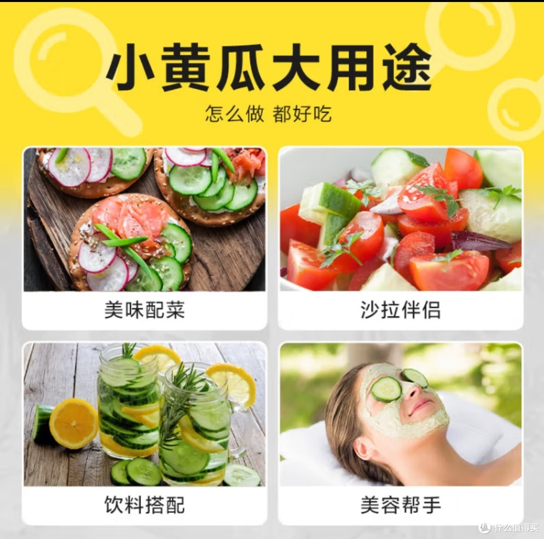夏天正是黄瓜成熟的季节