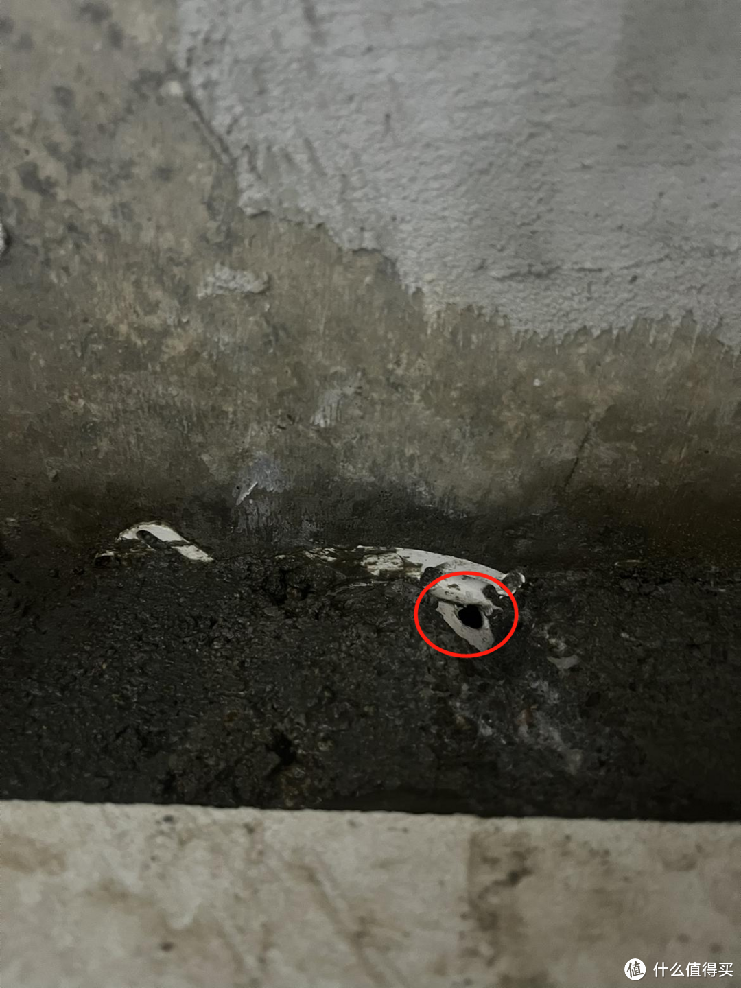查漏日报：排水管孔洞漏水和管口防水失效。
