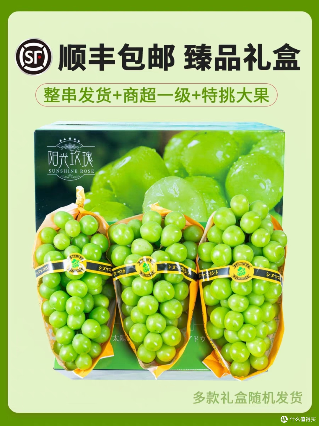 震撼心灵！夏日阳光下绽放的玫瑰葡萄
