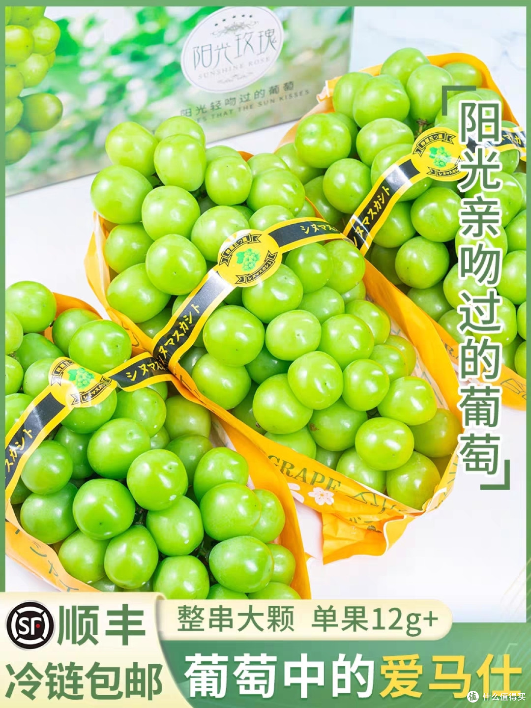 震撼心灵！夏日阳光下绽放的玫瑰葡萄