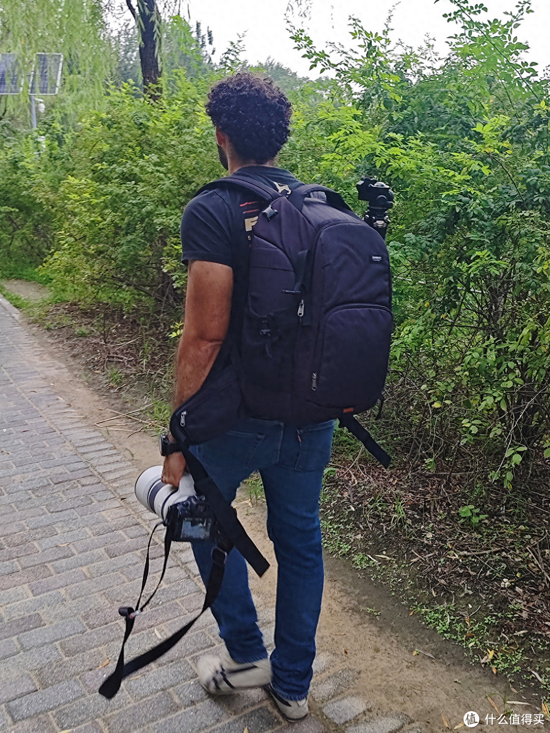 开学旅游之手机摄影记录奥森公园百日菊网红点打卡的收获