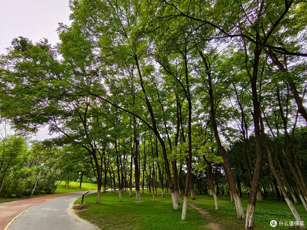 开学旅游之手机摄影记录奥森公园百日菊网红点打卡的收获