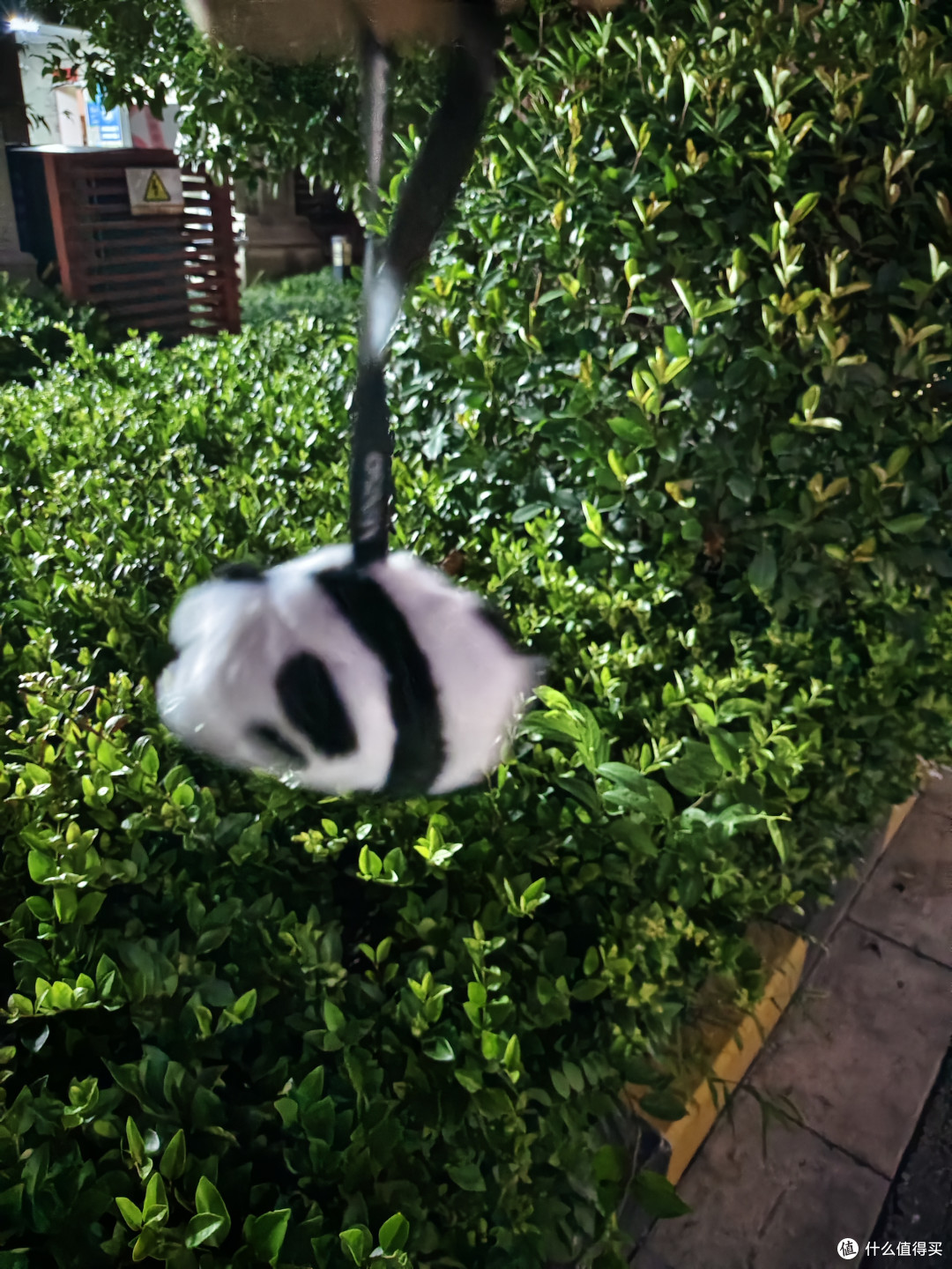 学生开学怎么穿?试试nike dunk这么穿吧