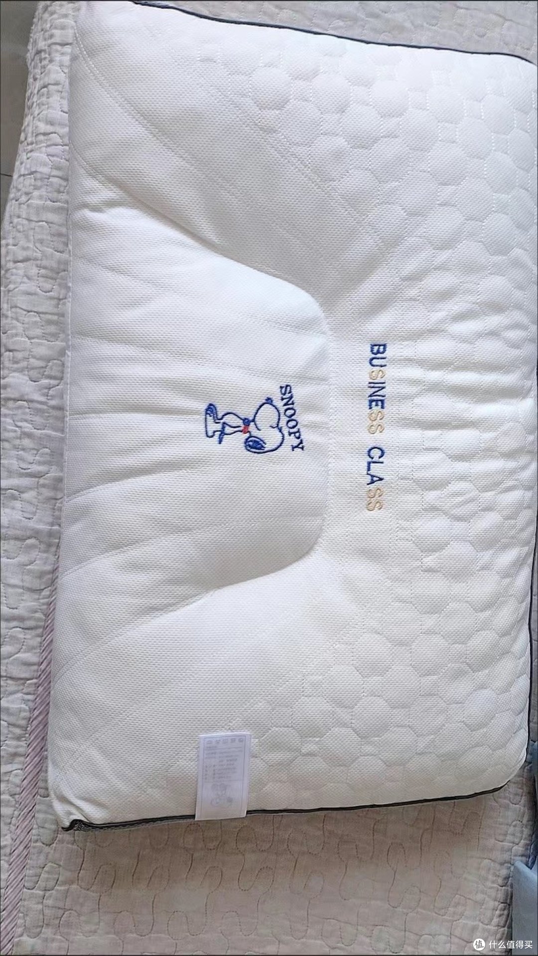 【学生宿舍必备】让你睡得像个宝宝的神奇乳胶枕!🌙💤