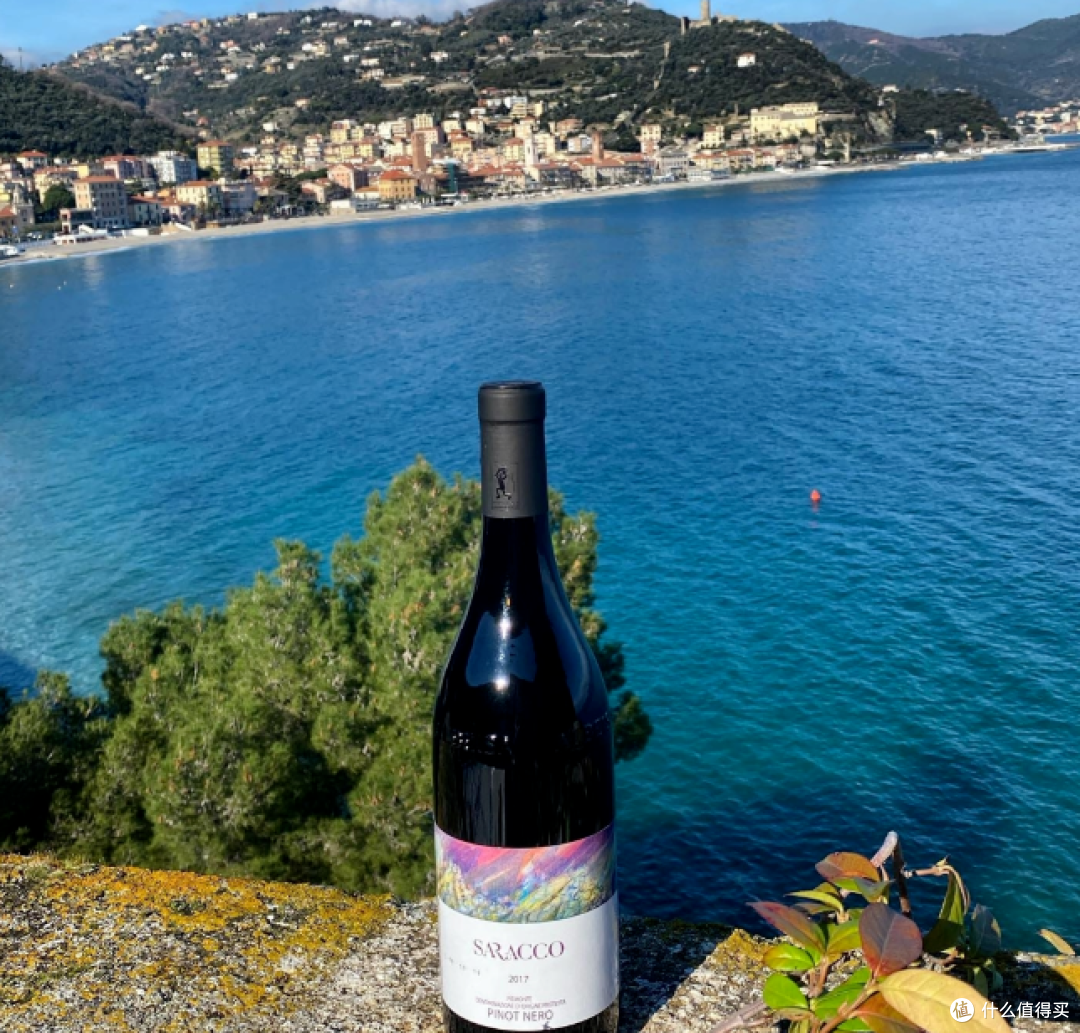 风景绝好的Moscato d'Asti”产区 丨 图源网络