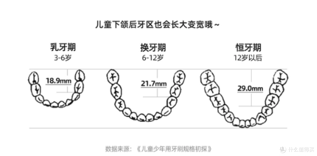 小小牙刷,大大奥秘!儿童电动牙刷评测带你了解不一样的刷牙体验!