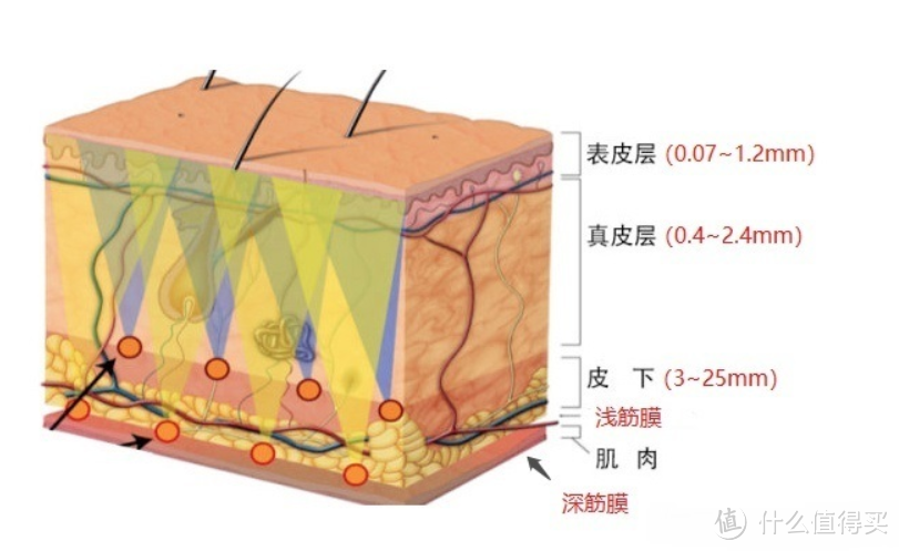 2022 专业级筋膜枪选购指南，什么牌子的筋膜枪好？含 倍益康||纽崔亚||海波艾斯||菠萝君 等品牌~