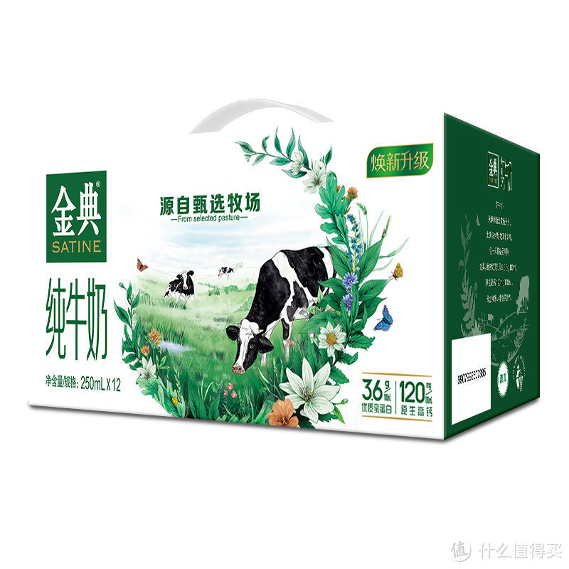 宝藏乳品之伊利金典纯牛奶250ml*12盒 3.6g乳蛋白好牛奶。