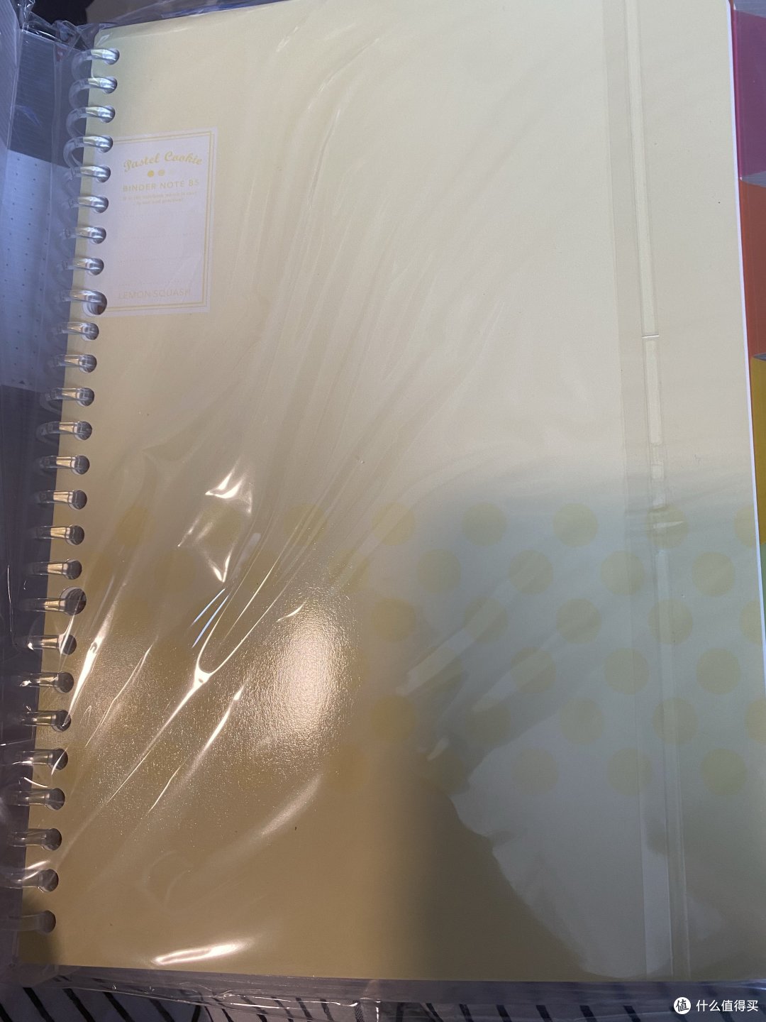 要开学啦,开学啦,自由的风又吹到我了
