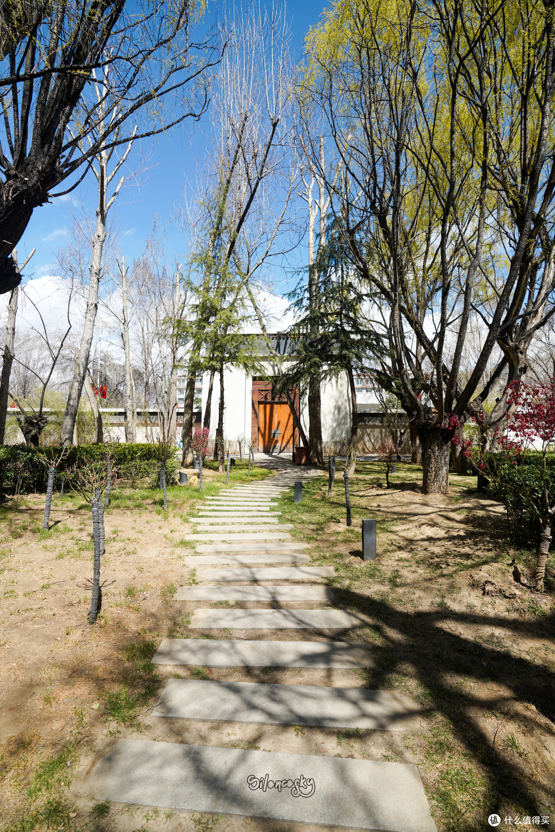 王菲最爱?被迫上位的总套:拉萨瑞吉酒店 珠穆朗玛套房 入住体验
