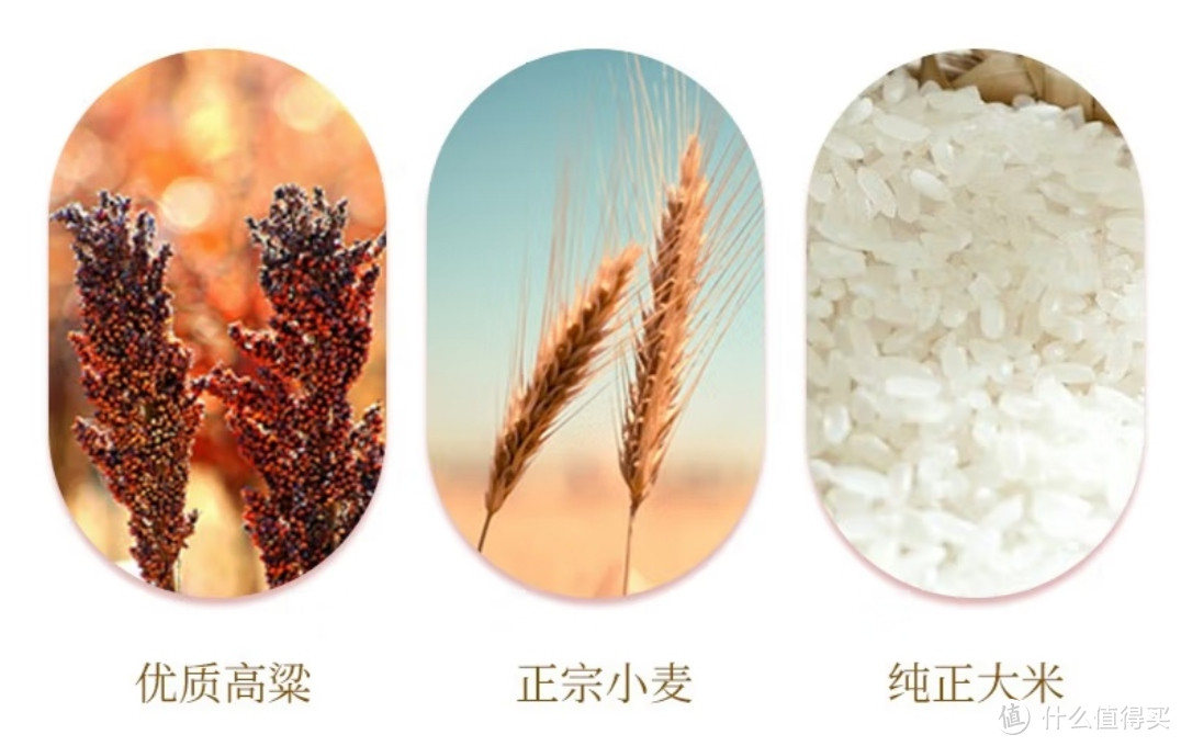 婚宴必备,酒杯中的欢乐:江苏名酒今世缘
