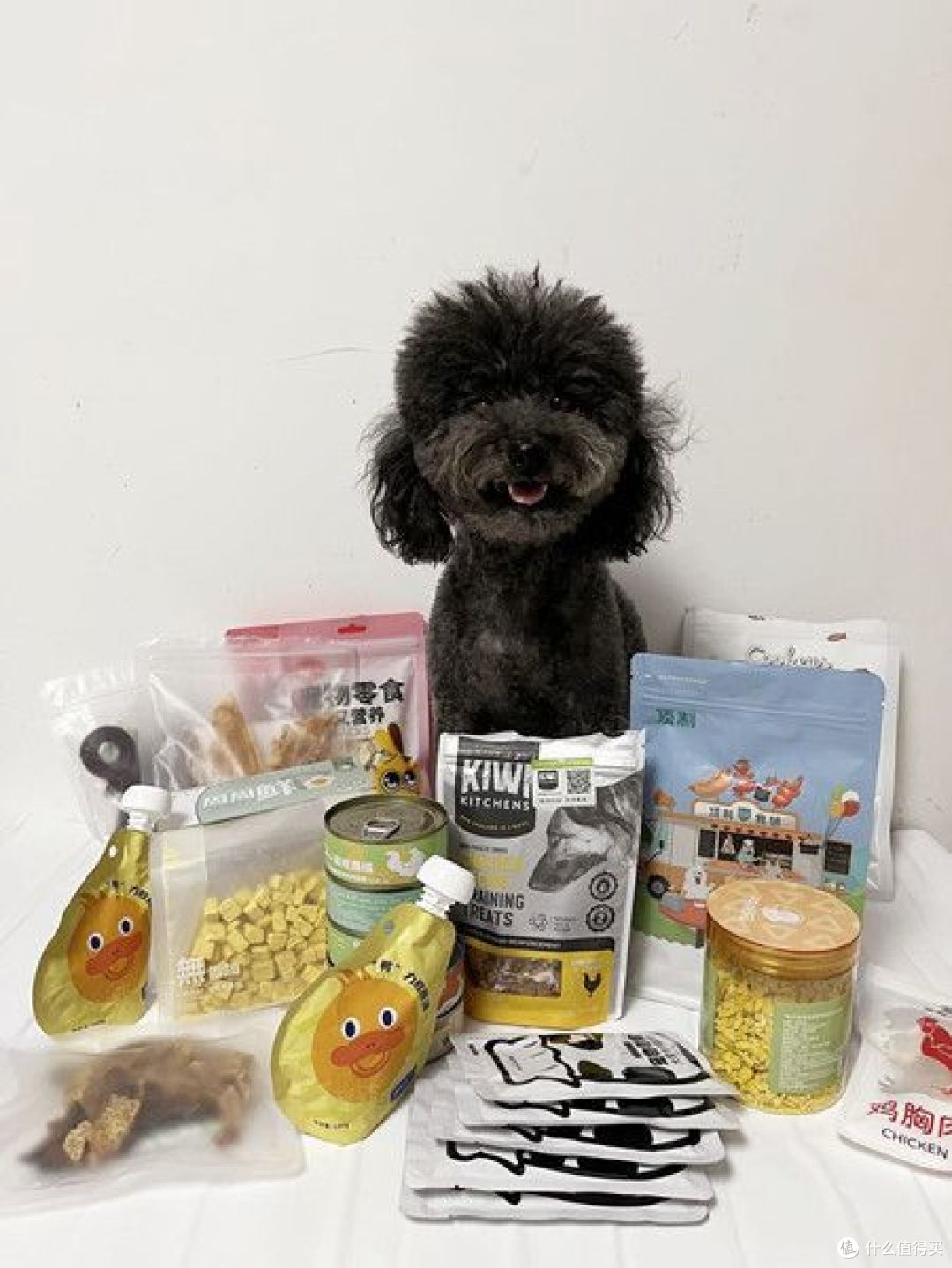狗狗的零食如何选择?买过的宝藏宠物零食推荐