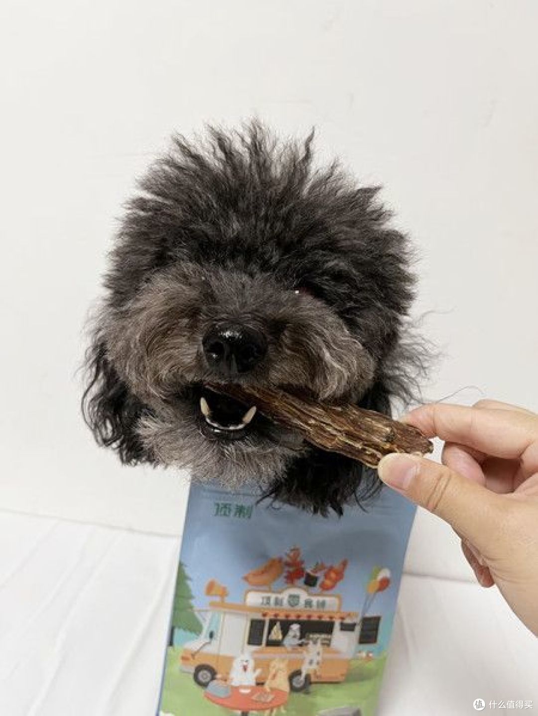 狗狗的零食如何选择?买过的宝藏宠物零食推荐