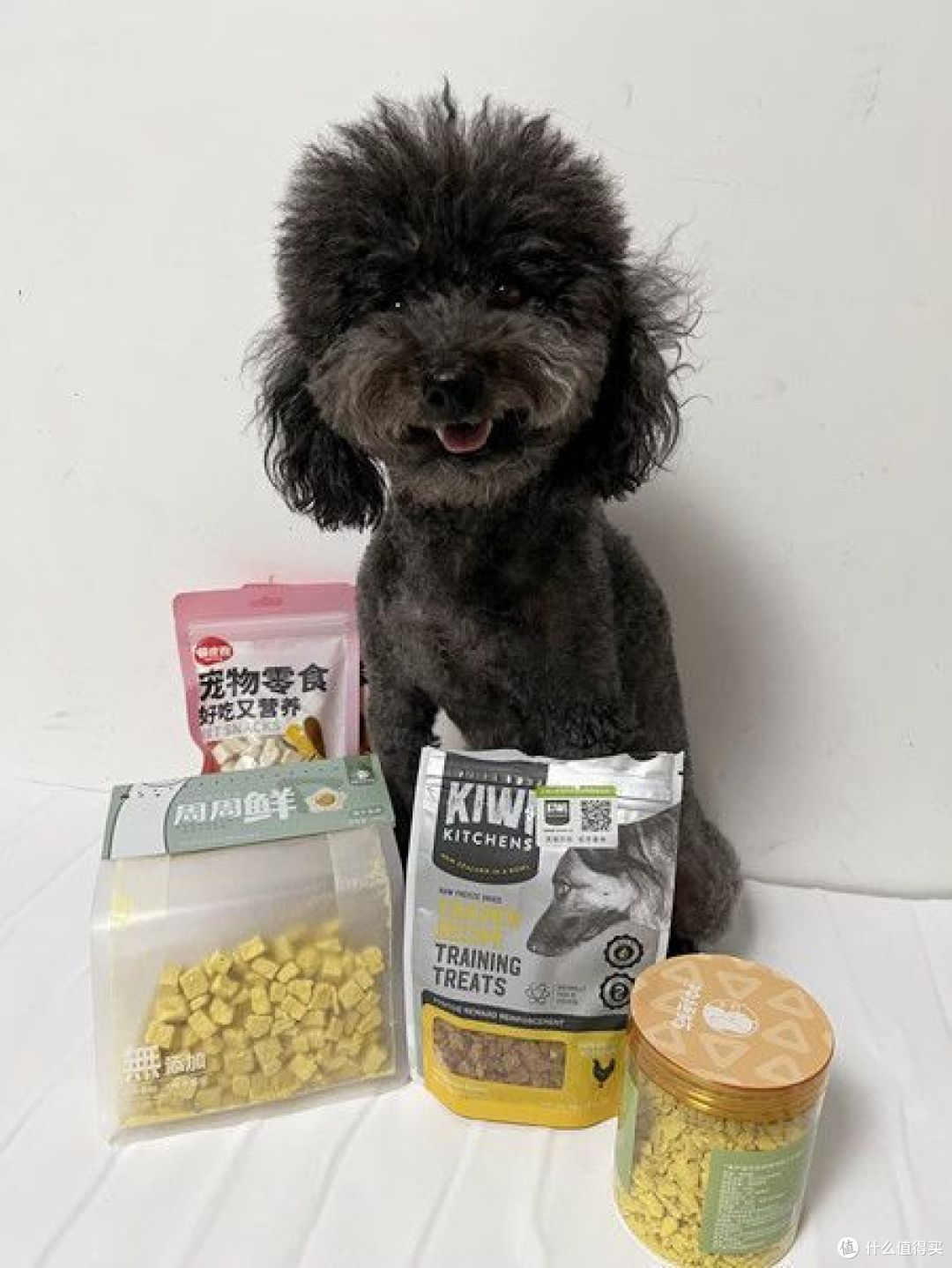 狗狗的零食如何选择?买过的宝藏宠物零食推荐
