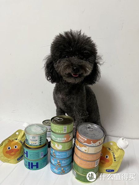 狗狗的零食如何选择?买过的宝藏宠物零食推荐