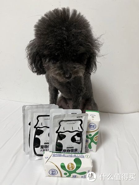 狗狗的零食如何选择?买过的宝藏宠物零食推荐