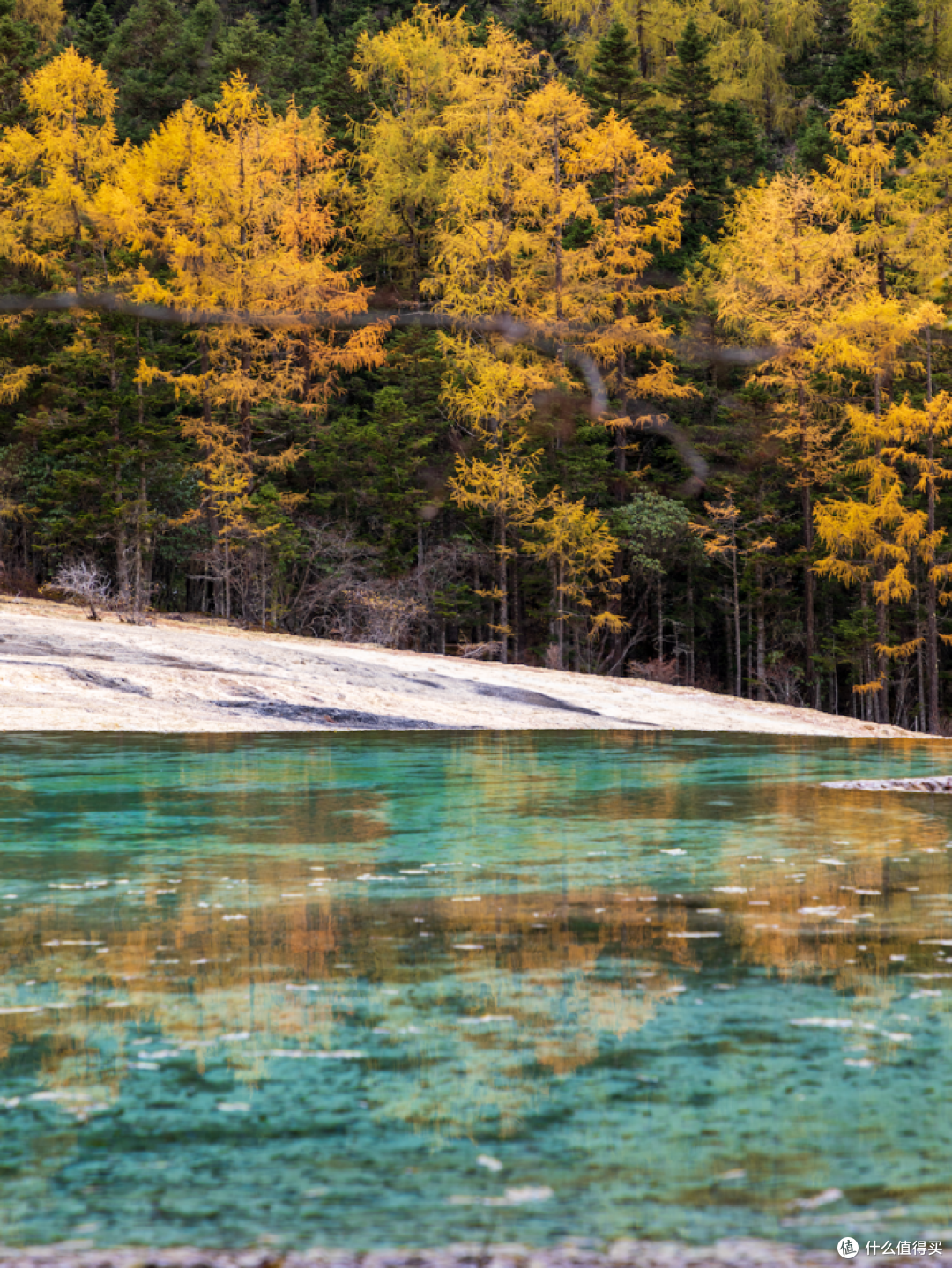 打遍国内无敌手,秋天不来这真的亏大了!