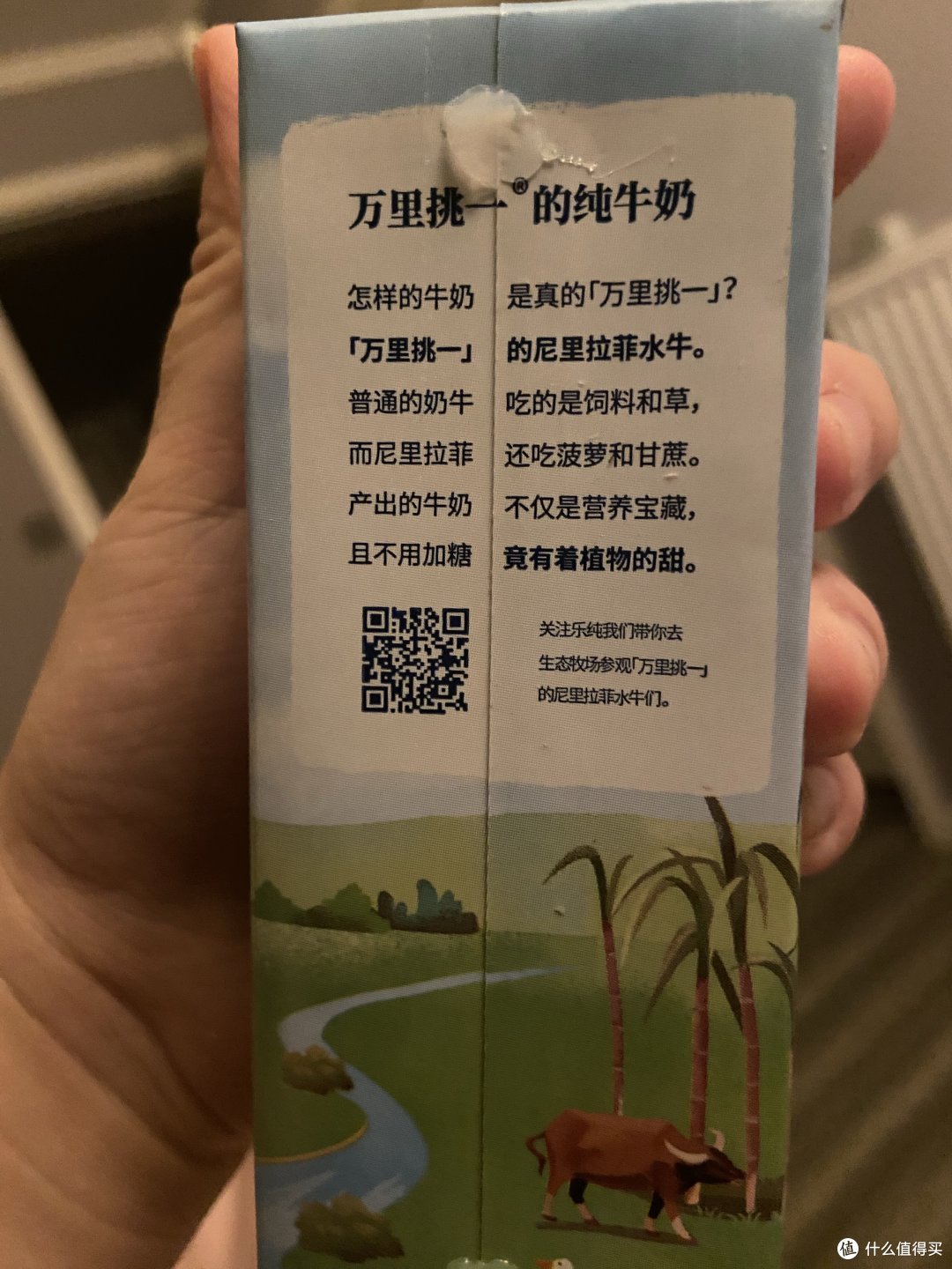 万里挑一水牛奶—稀贵拉菲牛乳