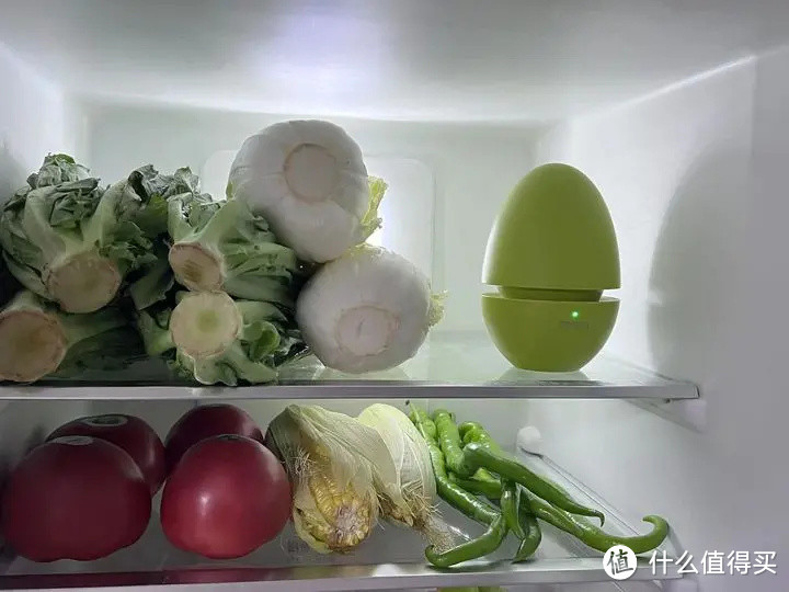 2023年冰箱除味器推荐！冰箱除味器是不是智商税，有用吗？根元冰箱除味器开箱测评分享