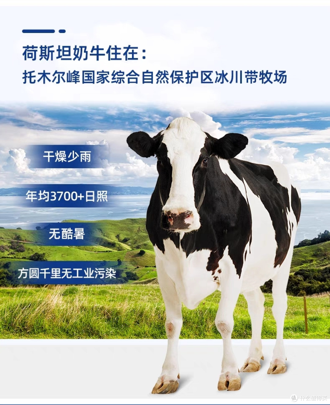 揭秘纯牛奶市场:如何选购到品质上乘的纯牛奶?