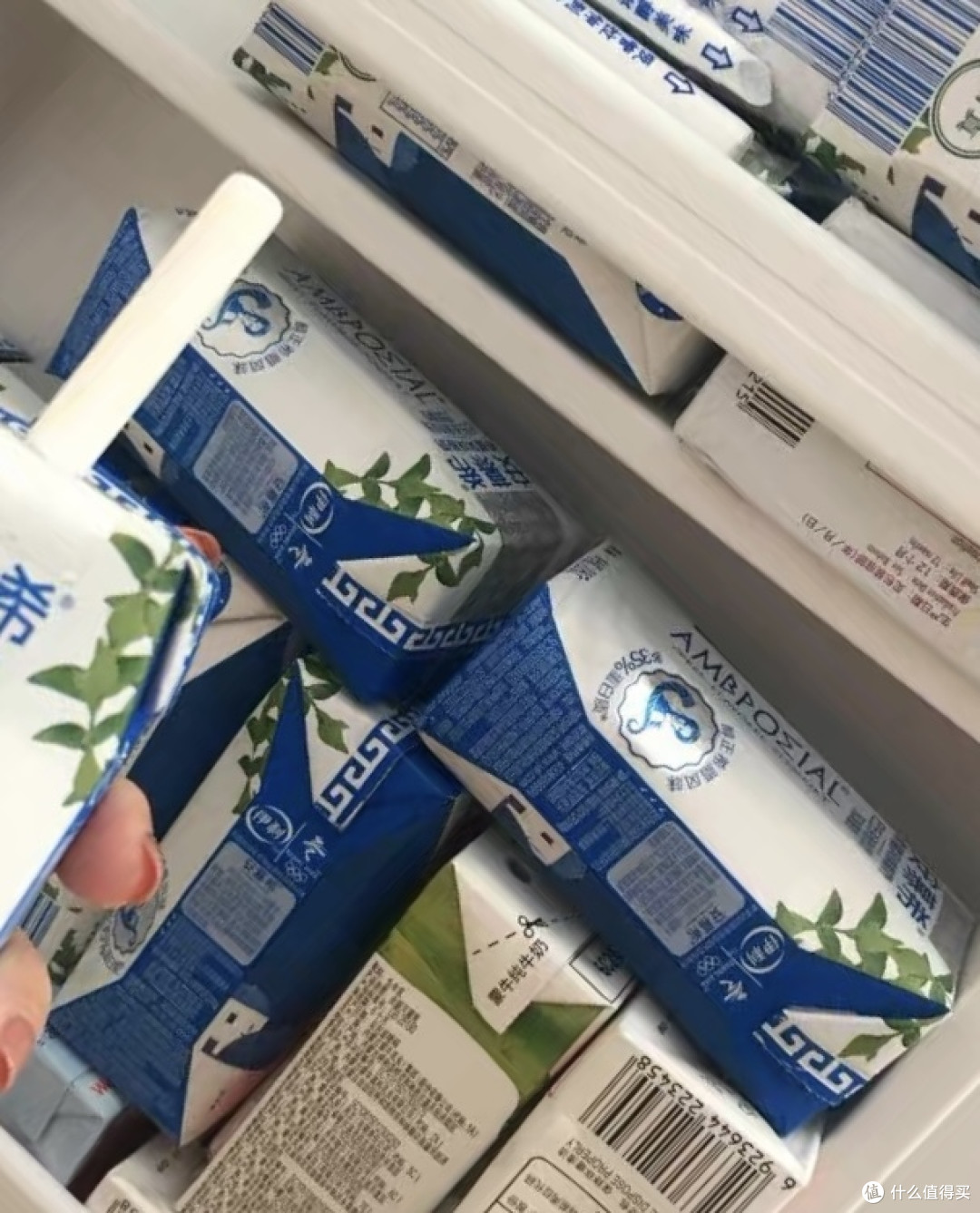 酸奶真的是一个很好吃的东西