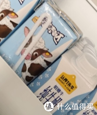 A2β-酪蛋白儿童全脂纯牛奶