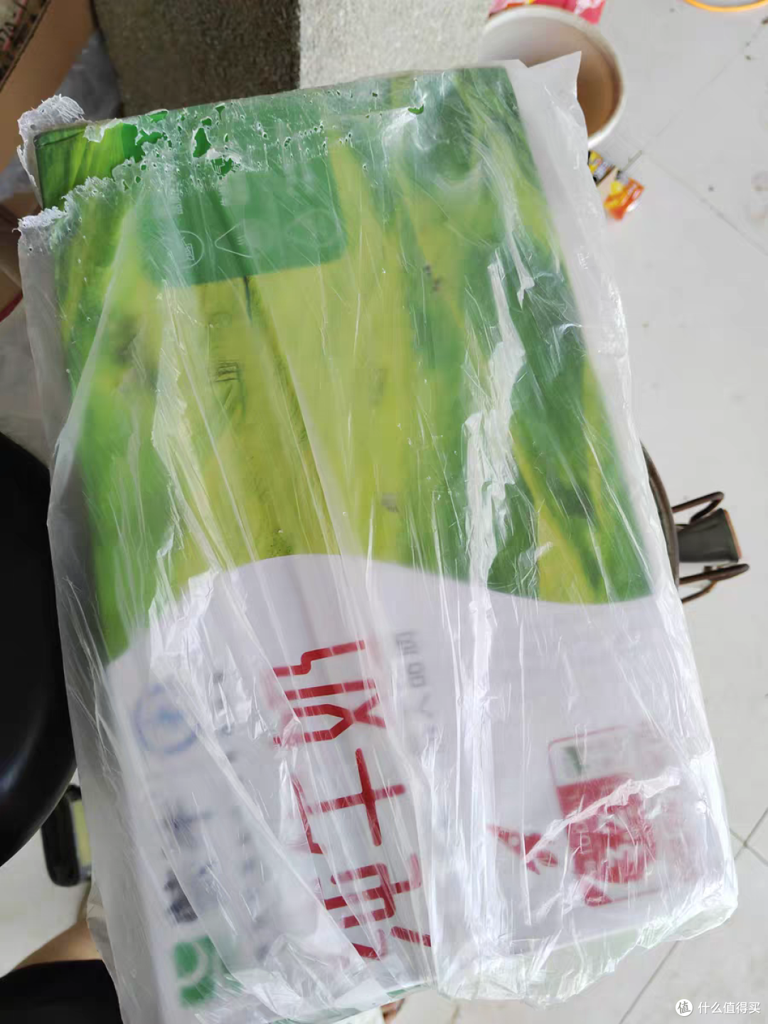 奶爸带娃喝蒙牛纯牛奶,营养满分不怕娃嫌弃