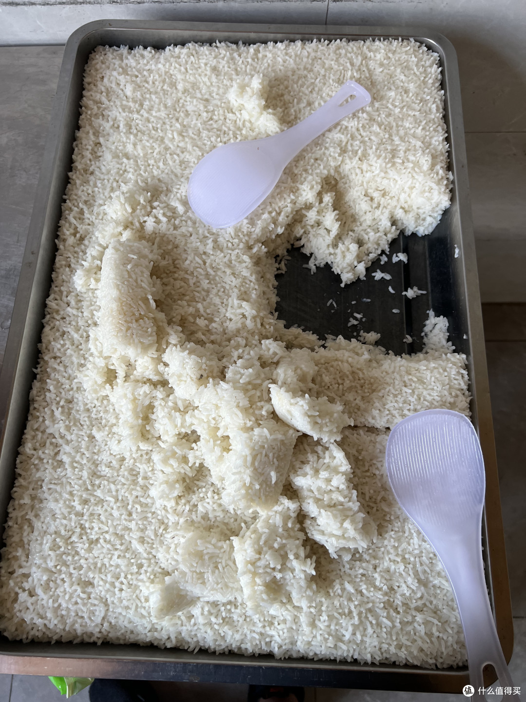 15年后又来体验学校食堂,你们也是这种分格的餐盘吗?