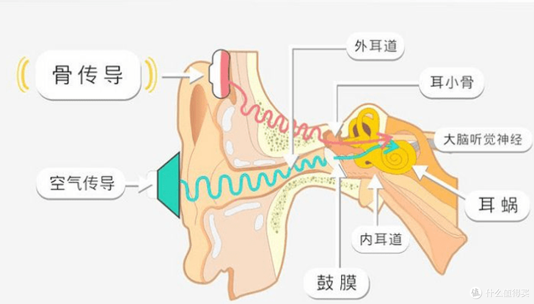 【测评】戴灵S800骨传导耳机