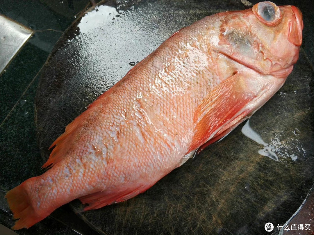 哪些海鲜离日本比较远？这6种影响还不大，冰箱里囤一些，放心吃