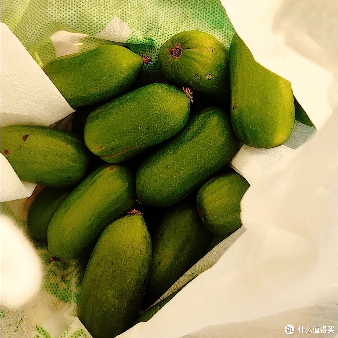 宝藏水果分享——软枣猕猴桃