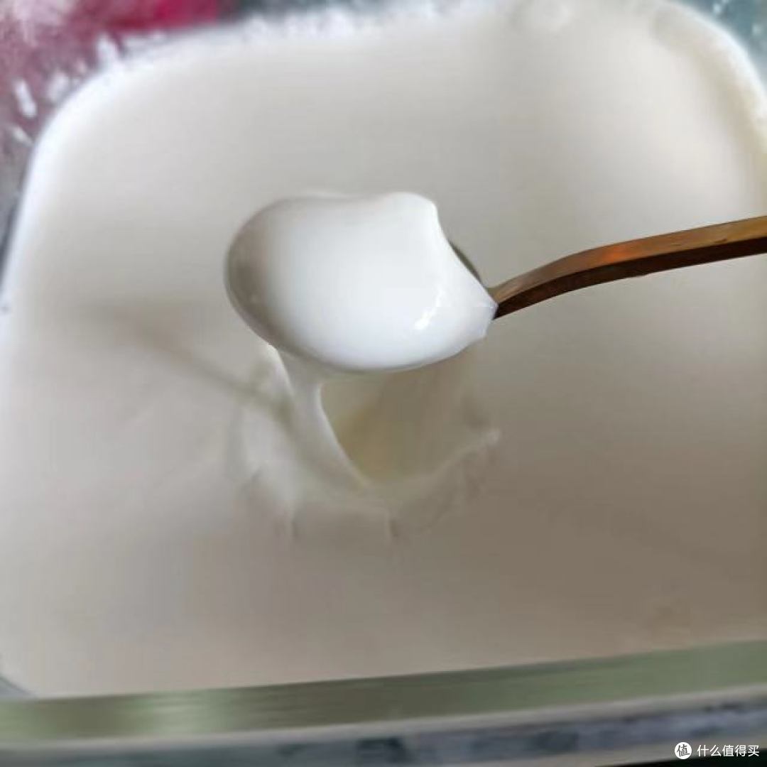 酸奶对肠道的好处有哪些?