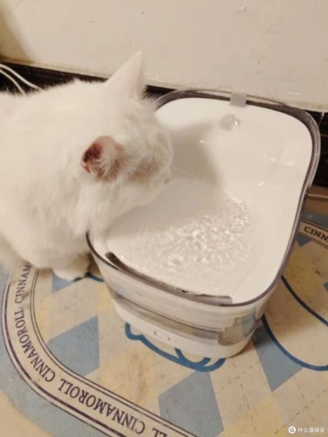经常出差,全自动猫砂盆、智能宠物喂食机、智能宠物饮水机,哪些值得购买?