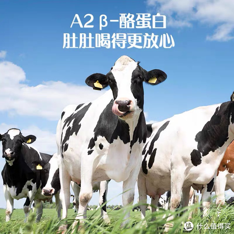 认养一头牛棒棒哒A2β-酪蛋白有机纯牛奶200ml*10盒营养早餐牛奶