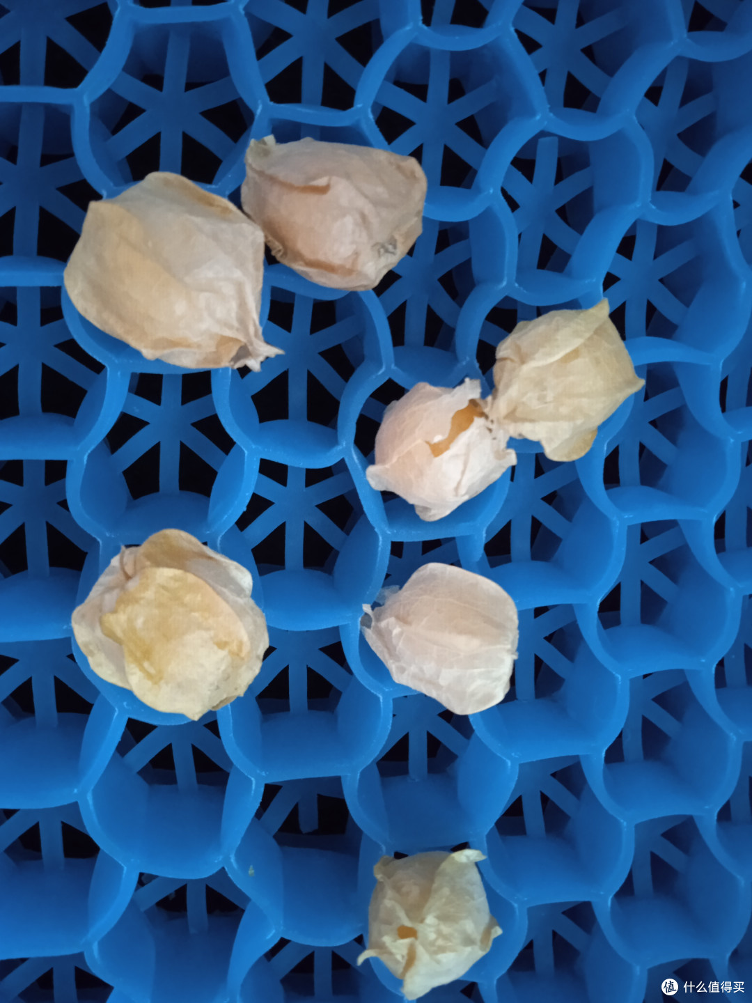 夏日时光这个东北小菇娘是真好吃啊甜甜的