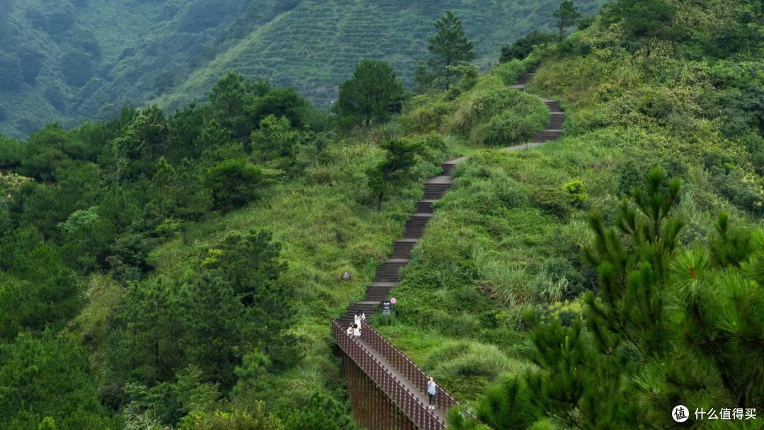 红心猕猴桃的种植条件是什么