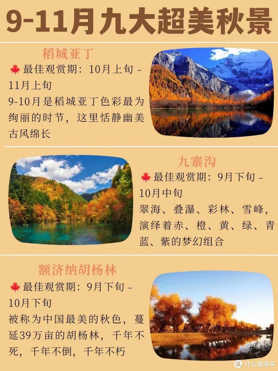 9-11月九大秋景🍂绝美胡杨林❗️附详细攻略