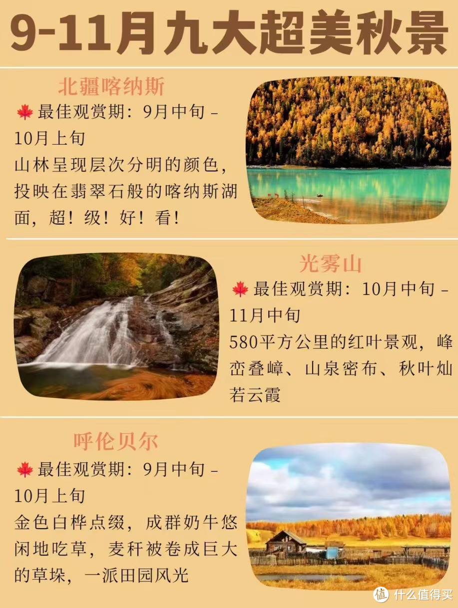 9-11月九大秋景🍂绝美胡杨林❗️附详细攻略