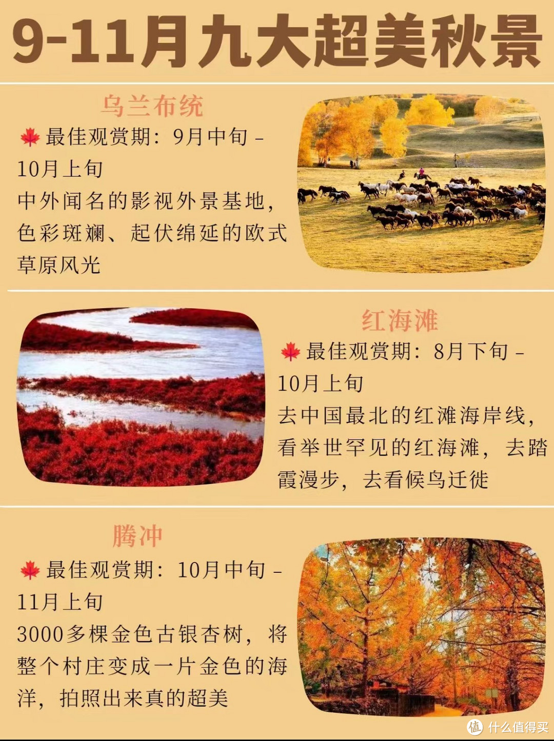 9-11月九大秋景🍂绝美胡杨林❗️附详细攻略