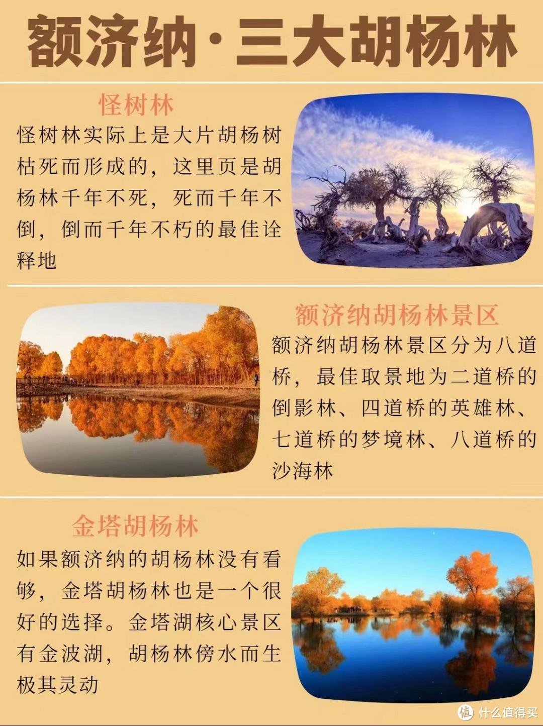 9-11月九大秋景🍂绝美胡杨林❗️附详细攻略