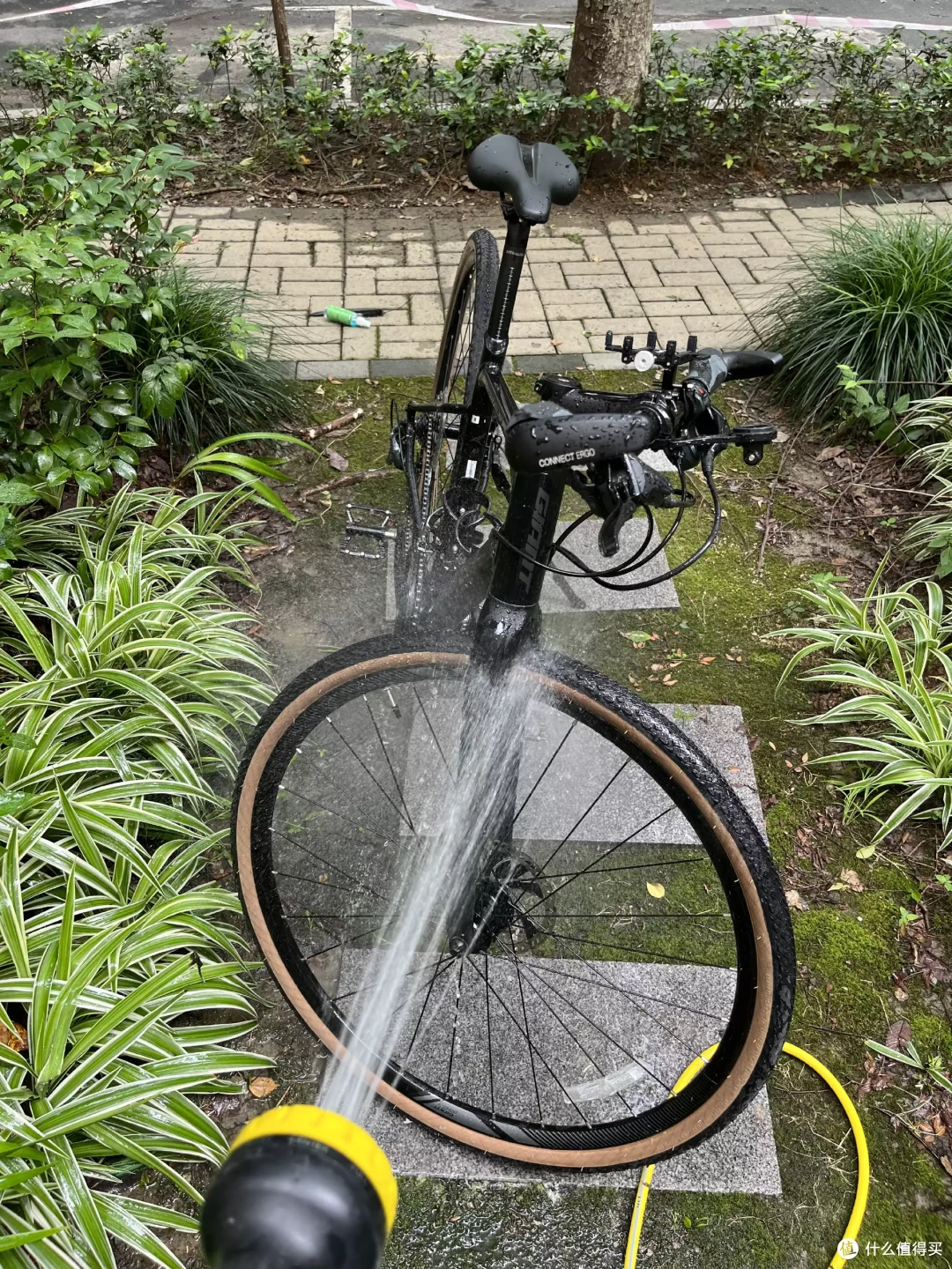 并不便宜的小水桶车,捷安特revolt F1 500KM体验