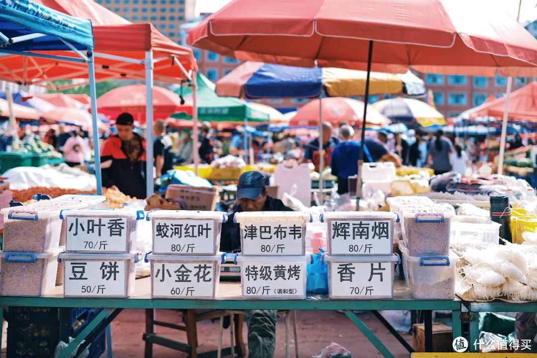 呼伦贝尔环线的起点与终点，我被这座草原城市治愈了。