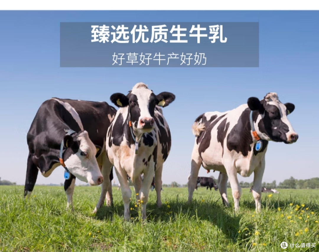 皇氏乳业爱特浓，让你尽享浓郁醇香