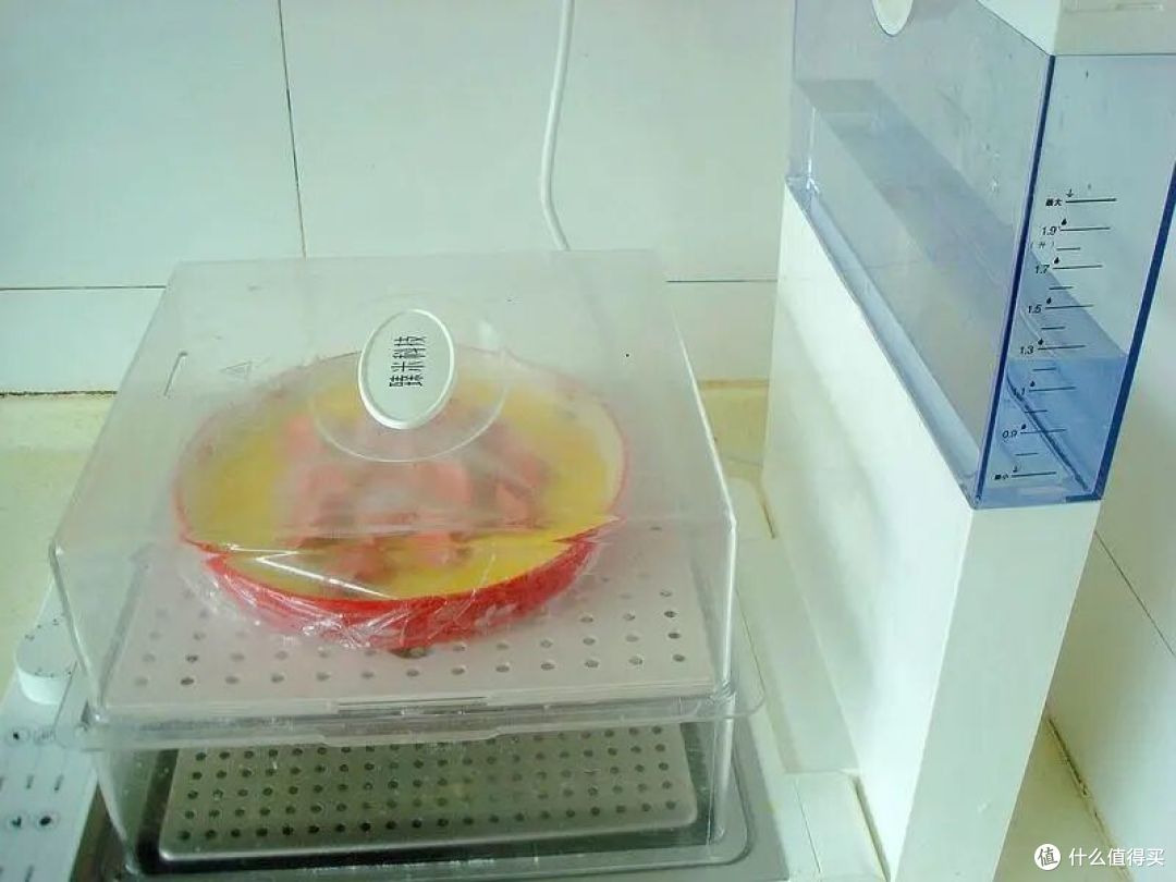 一年四季都可吃的早餐,鲜嫩又好吃,10分钟上桌,老人孩子最爱