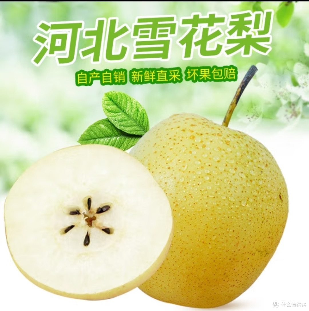 秋天多吃水果可以有效的预防感冒